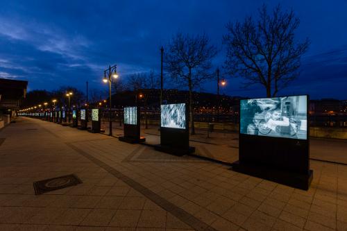 365 Fotowettbewerb Ausstellung I Donaupromenade I 2021